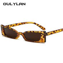 Load image into Gallery viewer, Brand Designer Small Sun Glasses Retro Leopard Shades